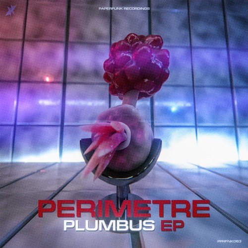 Cover Perimetre - Plumbus EP