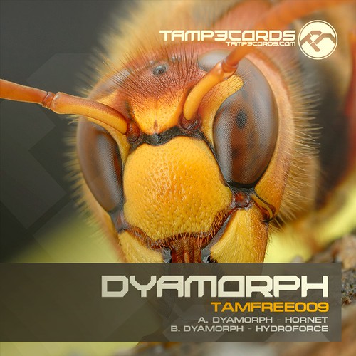 Cover Dyamorph - Hornet, Hydroforce